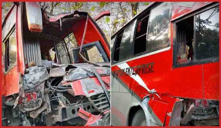 গাছের সঙ্গে বাসের ধাক্কা
