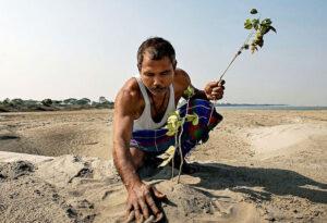 বনাঞ্চল