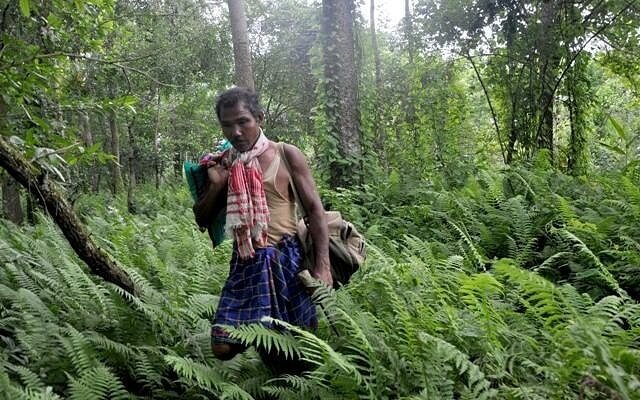 বনাঞ্চল