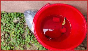 মেহেরপুরে বোমা সদৃশ বস্তু উদ্ধার