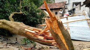 কালীগঞ্জে কালবৈশাখীর তাণ্ডবে