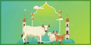 কোরবানি কবুল হওয়ার সাত শর্ত