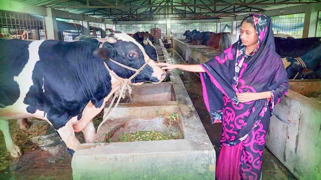 কোরবানির পশুতে স্বয়ংসম্পূর্ণ