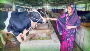 কোরবানির পশুতে স্বয়ংসম্পূর্ণ