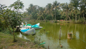 নলডাঙ্গায় রাজা ভূষণদের শাসন ও অবদান 