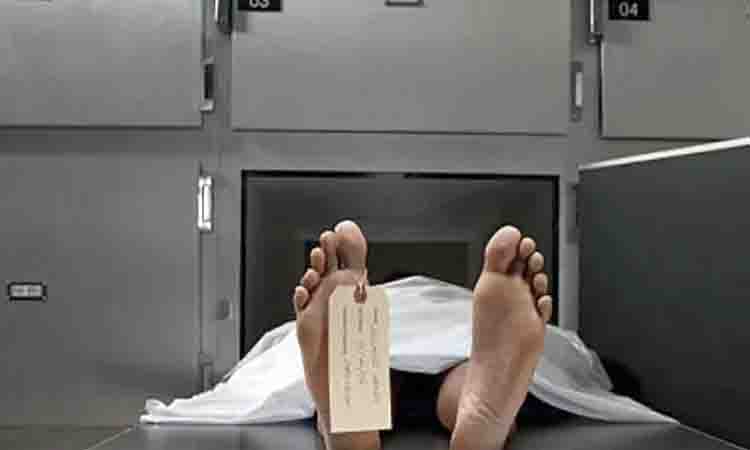 শৈলকুপায় লিচু গাছ থেকে পড়ে প্রাণ গেল দিনমজুরের