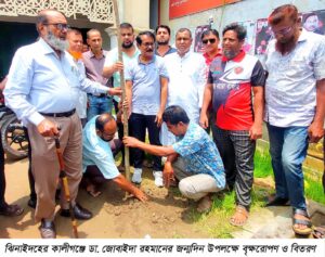 কালীগঞ্জে ডা. জোবাইদা রহমানের জন্মদিন উপলক্ষে কৃষক দলের বৃক্ষরোপণ কর্মসূচি পালিত