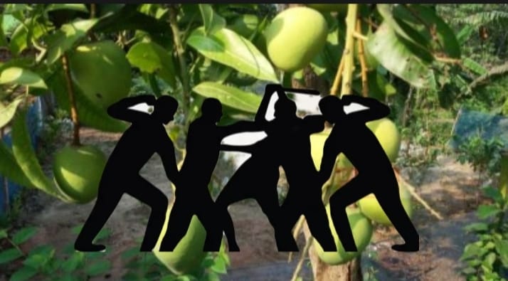 আম পাড়াকে কেন্দ্র করে চাচা-ভাতিজার সংঘর্ষ