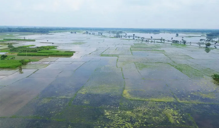 এবার নদী ও খাল সংস্কার করাই হোক ঝিনাইদহের নির্বাচনী ইশতেহার