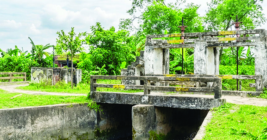 পানিহীন জিকে সেচ খাল: পুড়ছে শৈলকুপা ও হরিণাকুণ্ডুর ফসলি মাঠ