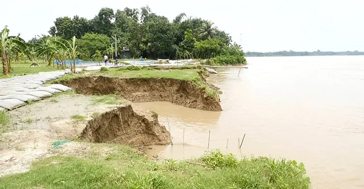 গড়াইয়ের গিলে খাওয়া ফসলি জমির পর এবার বসতভিটা হারানোর তীব্র আতঙ্কে শৈলকূপাবাসী