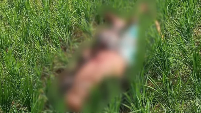 কোটচাঁদপুরে জমি বিরোধে